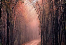 什么是丙丁童子？