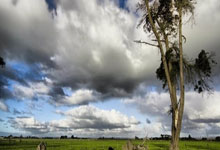 什么是世耶那萨喃？