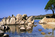 什么是世界主？